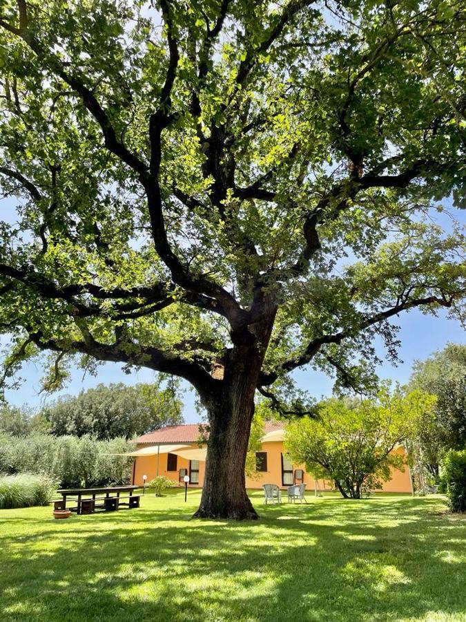 Agriturismo I Tre Fossi Magliano in Toscana Eksteriør billede