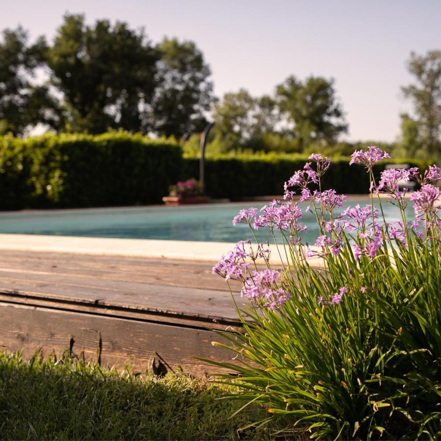 Agriturismo I Tre Fossi Magliano in Toscana Eksteriør billede