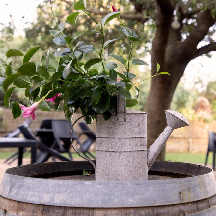 Agriturismo I Tre Fossi Magliano in Toscana Eksteriør billede